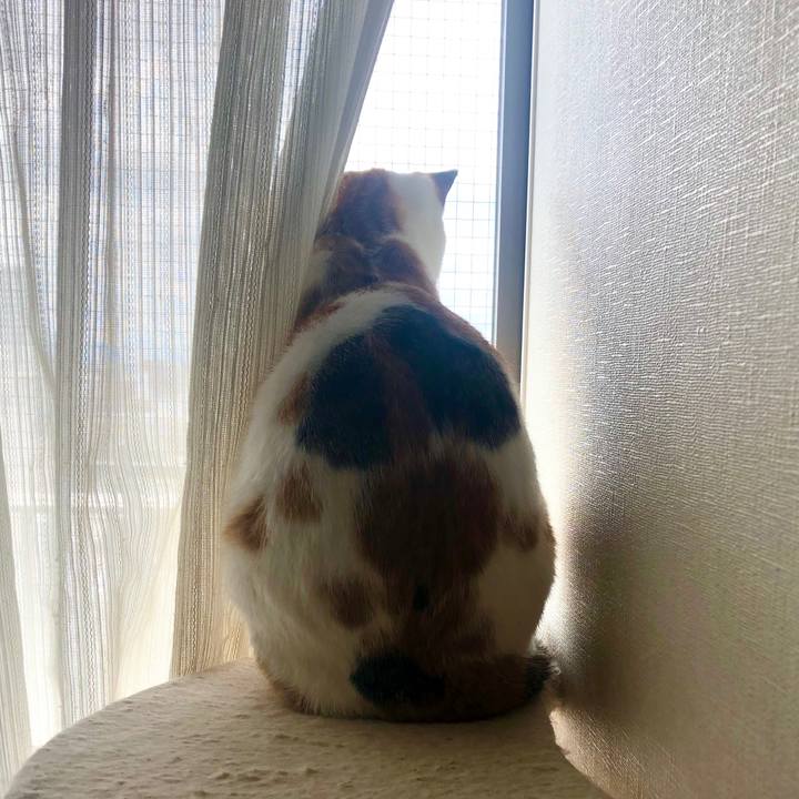 A644f148 4551 4bfc ac0c 60ca10cc696b 1584242406327