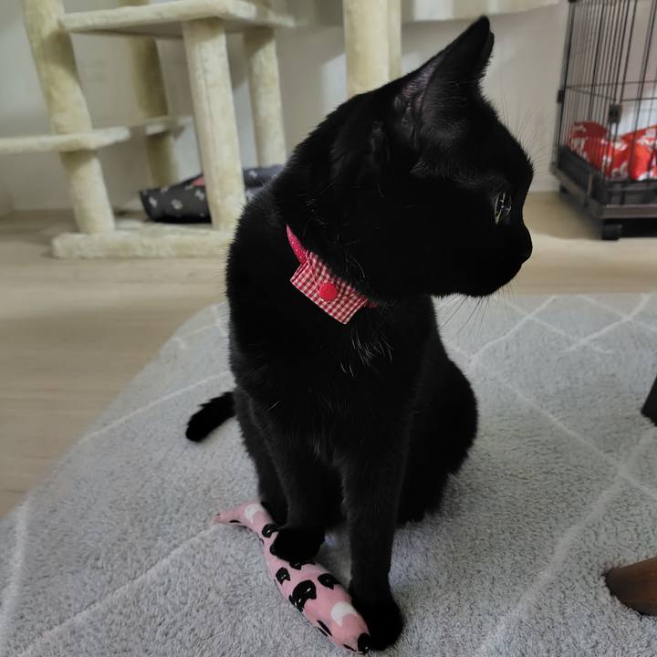 A6450a1f 2a4b 4ae9 8a58 e8a5050f6a5f 1723722573899