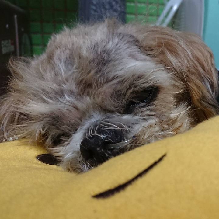 A64515d6 e344 4627 9cd0 520ce88c039f 1557306565834