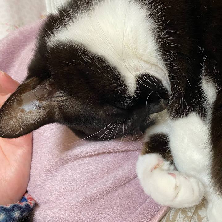 A6454824 668a 45aa 8322 8ee0a49a3f04 1643288526709