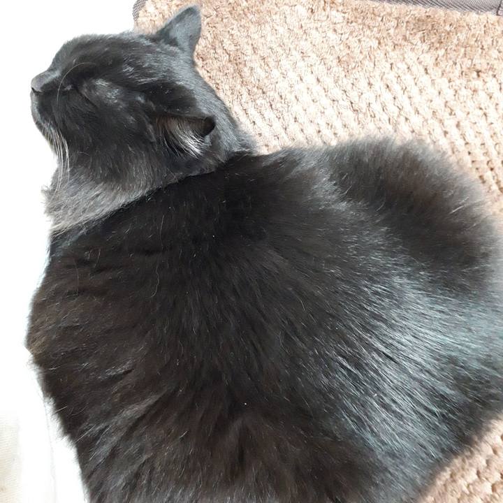 A6458052 1cef 478c a62e a887b9617f0a 1521664487993