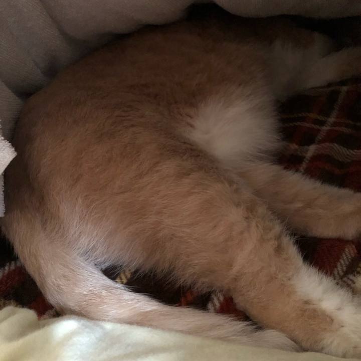 A645f348 fa53 4d80 9478 510d11a2bbc8 1549714905216