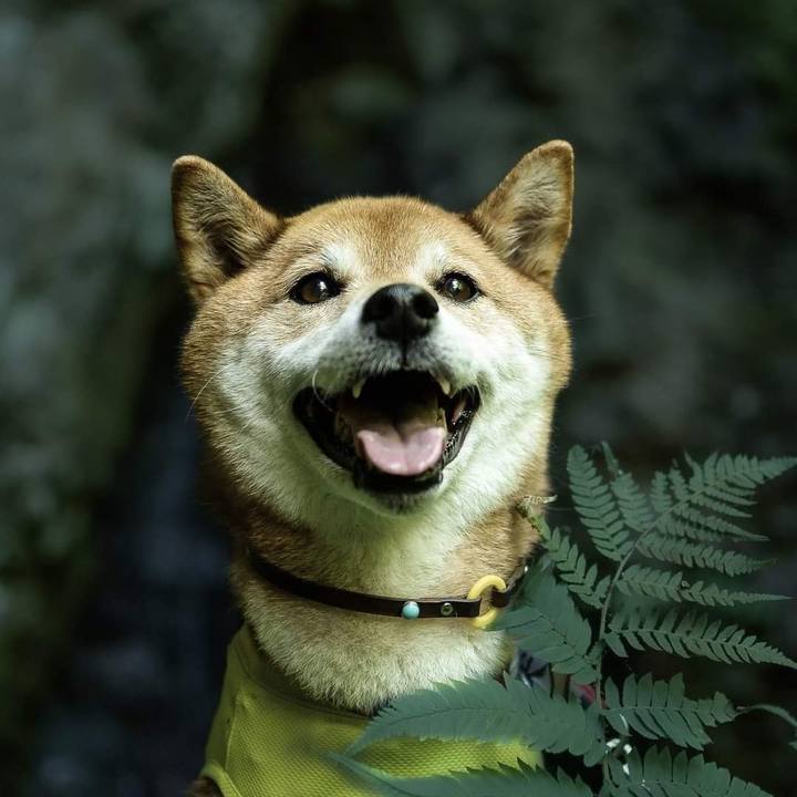 A6463104 3e6d 4587 ba27 22113664940f 1689314982571