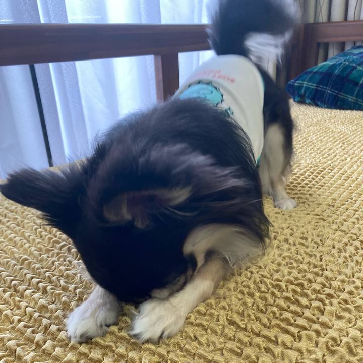 A6466d94 7245 4339 98e5 5f312ccdea5f 1655041048105