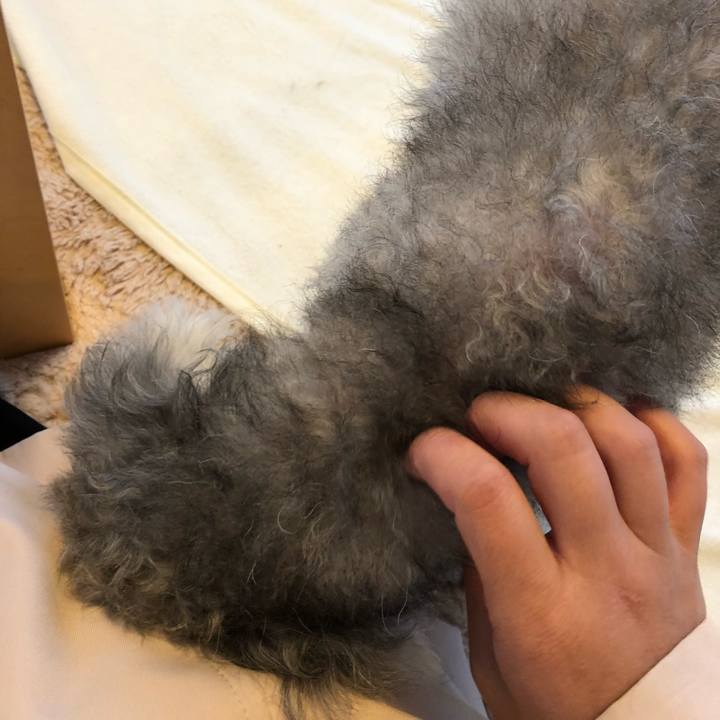 A646bc56 1fa9 4067 a145 2528ed88b676 1540854393164