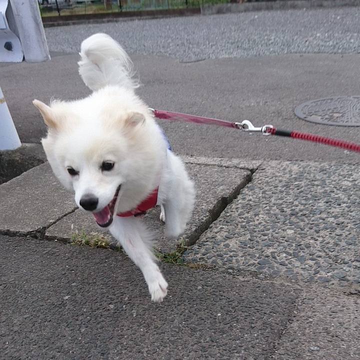 A646bcc6 1fe8 48cb 940b 248df2d905bc 1539641946182