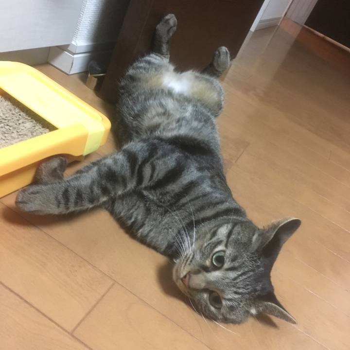 A646bf03 fe41 46d4 b5ab 9cf25d934129 1507824572290