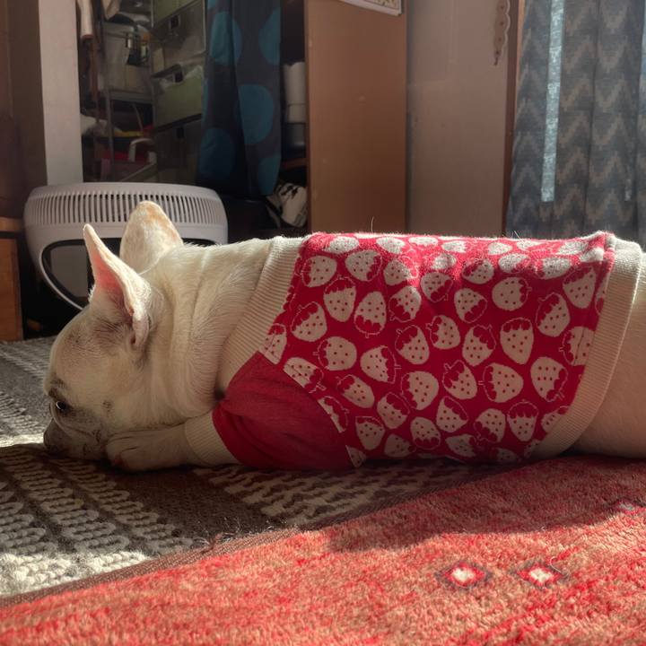 A646bfb4 2354 455b a3bc ce9200fee99a 1768901971247