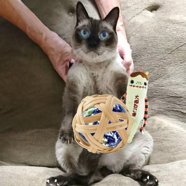 A646c563 e04f 4e83 ae3e 861d148d0d65 1535811540538