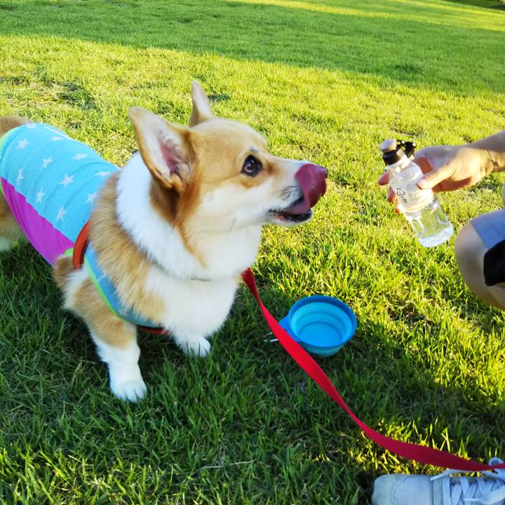 A646e9db daed 499a b9ba 55d765ff0fb4 1567334308750