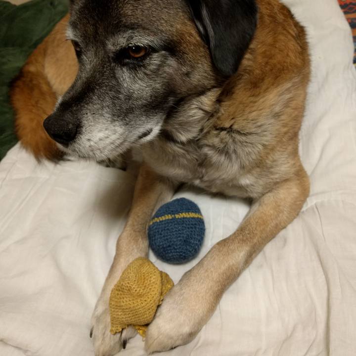 A646f8f3 8690 4348 9f54 cfe4081ec155 1711001087242