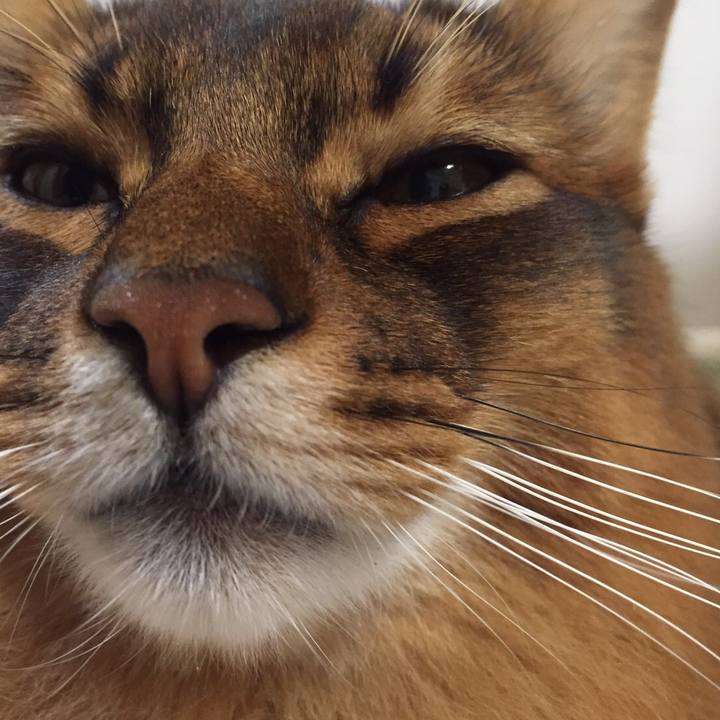 A6470f3a 3df1 46ff abad de9868b206d1 1604791691259