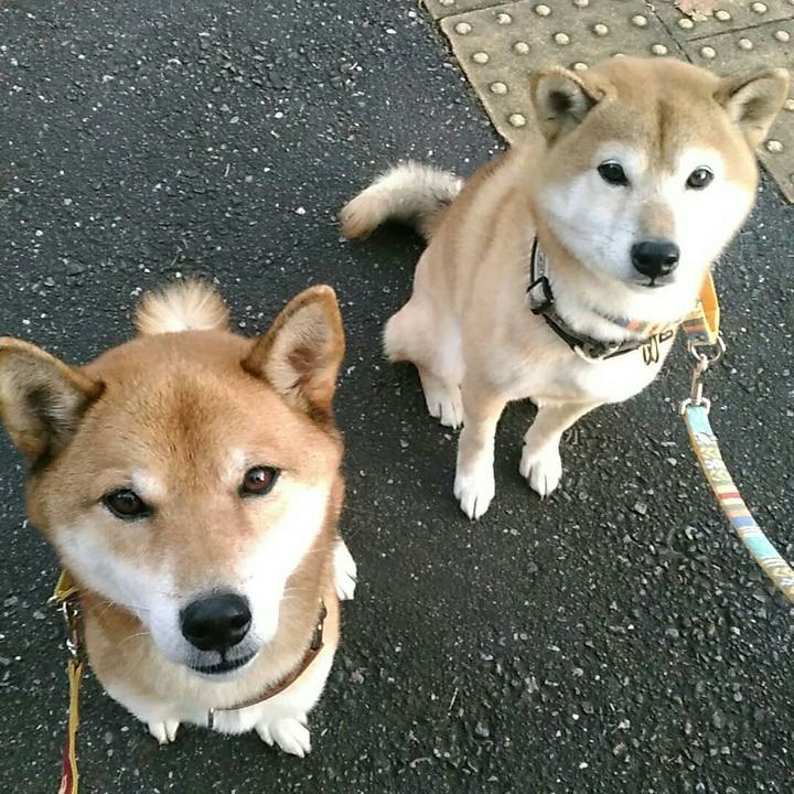 A647192c 3feb 4483 a576 a15410335647 1574322881824