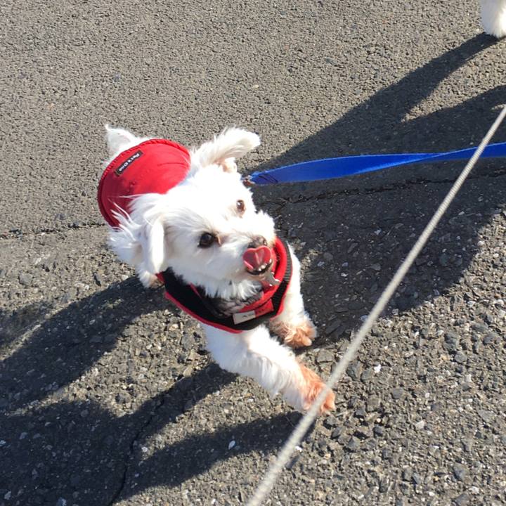 A6471bc3 794d 475e a53b 25c6f631374b 1608442558786