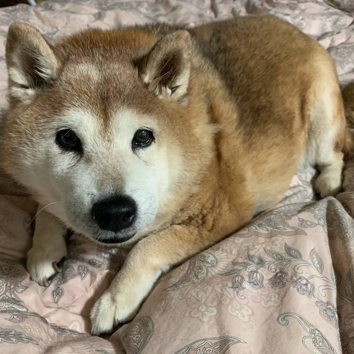 A6472aec 7fe1 409e b4c0 966436dc19b4 1617025653593