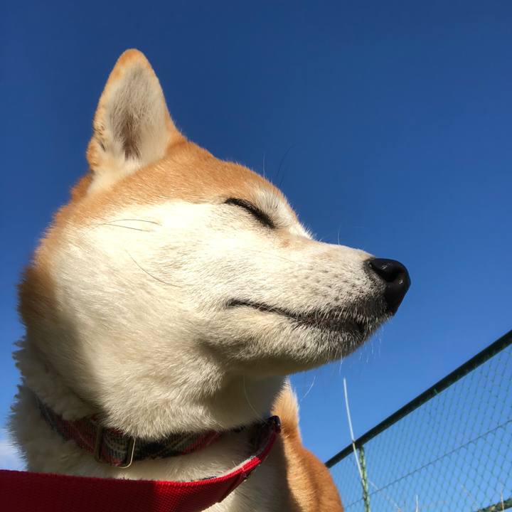 A6473fd4 3e83 48df 91a4 dac23ed908d8 1546043796942