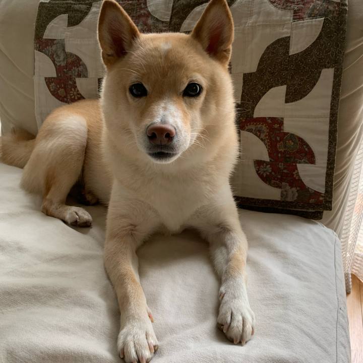 A64740f6 5902 4058 a130 6f0ec822069b 1631752839772