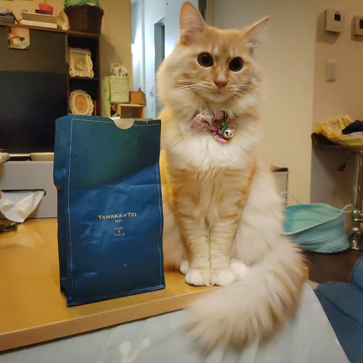 A6476a82 e609 4c13 9a0f 2d62aa0e2f8e 1667310024531