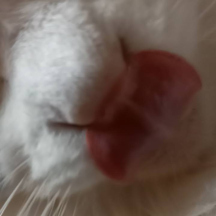 A64782e7 d304 49bc 97f4 cec43822e34d 1617448839772