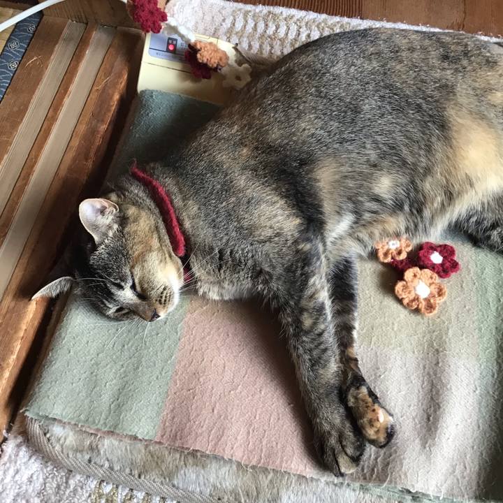 A647bece 7f6b 4f56 9da6 4617c6009d35 1600657030836