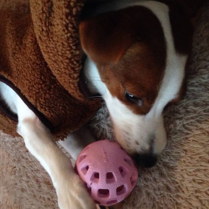 A647c941 c2cf 480e 94c0 7dab66fa53b5 1516777616561