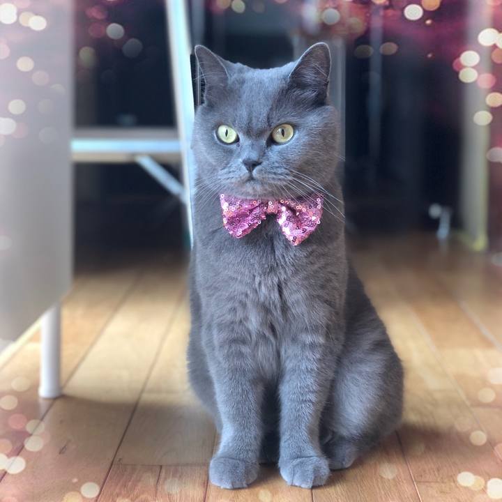 A647de0a b824 4fe5 ae0a 2a7813445c14 1595549810847