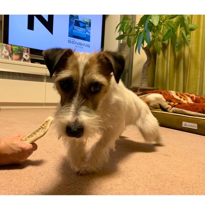 A647e3ae 4ac1 4a98 afc5 193d70bba880 1584273495880