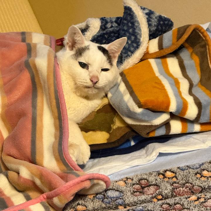 A6483c70 0629 411a b686 016f839dcb39 1768437203570