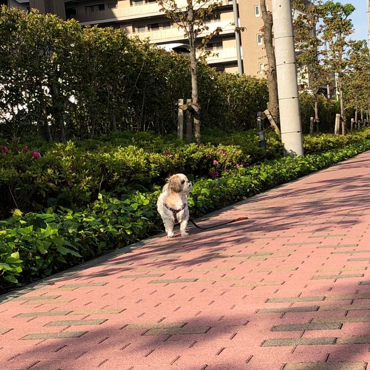 A64840a7 bf2c 4408 a7a6 5af8ddb4e72f 1526852976270