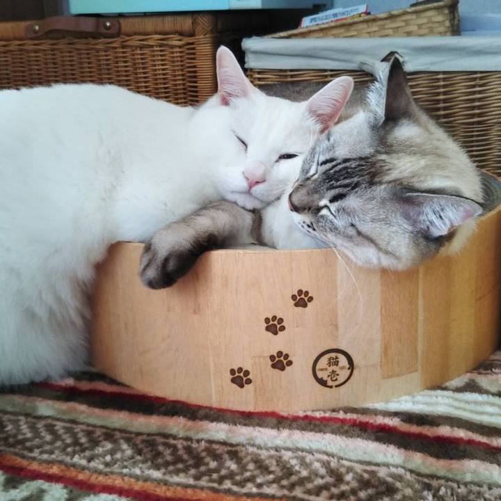 A648440f b659 4b5b 8608 9326581ae15e 1604632385026