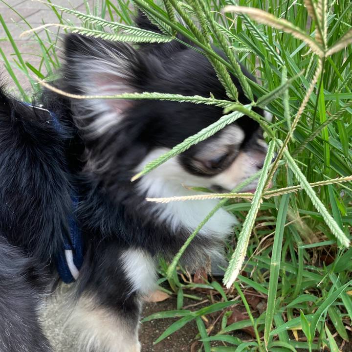 A6486a8a 5cc5 4af2 99e3 2250f1f62c8a 1661076924188