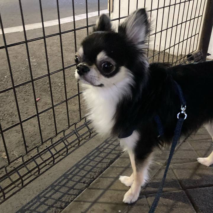 A6488287 e5d2 4573 adb3 b79bafc514aa 1623424334568