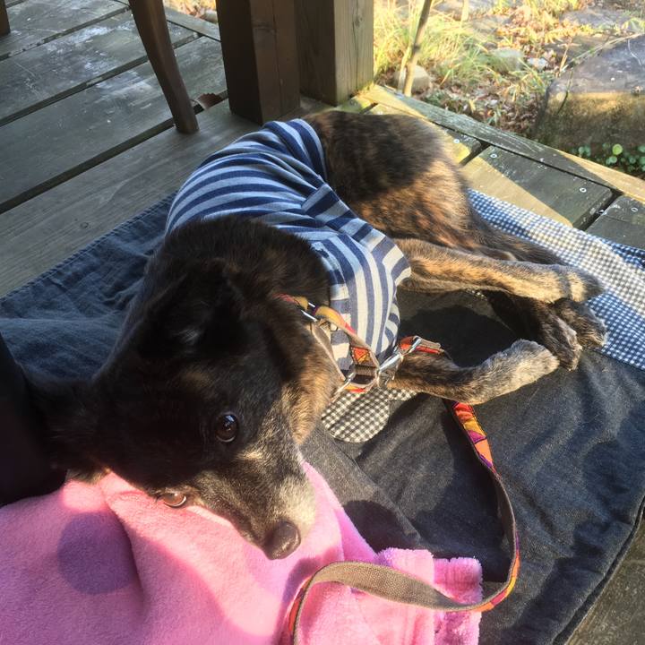 A648a8b8 7611 492a 858d caeaa2d6e269 1545820343690