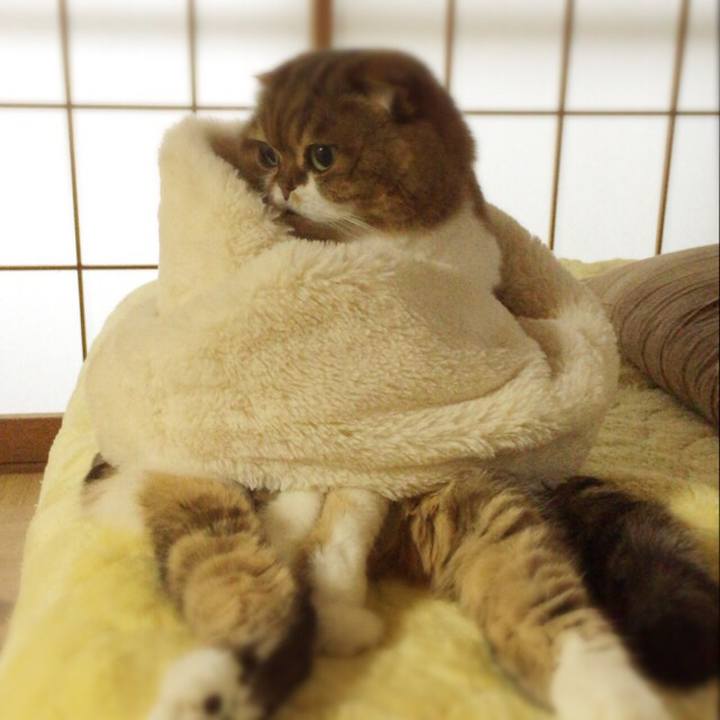 A6493096 aaaa 4b3b ae5c 2bc003e2487e 1515452189229