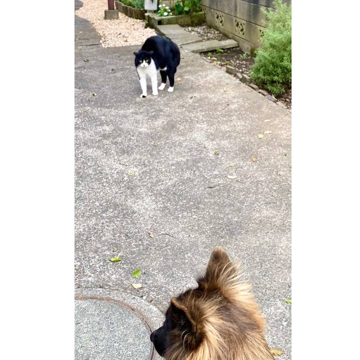 A6493f11 2fa6 422c 9fcd ff3265fe0543 1757662249291