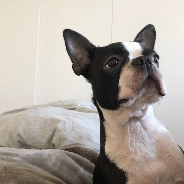 A649b6a4 85ec 48b4 80f6 246b26177617 1512349662966