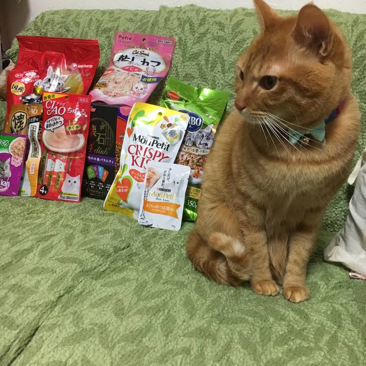 A649ca32 ec32 4bdf 87ff c18cffceb459 1514800309634