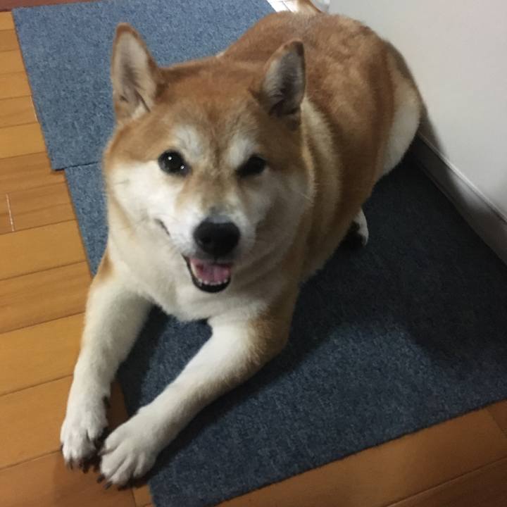 A649f5f1 5e62 4388 9e23 7181ca2e0a96 1598699828835