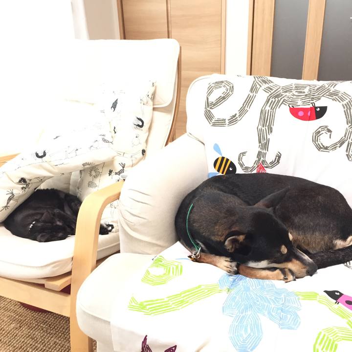 A64a171a 1290 4166 beb4 fa9da5984175 1508213937585