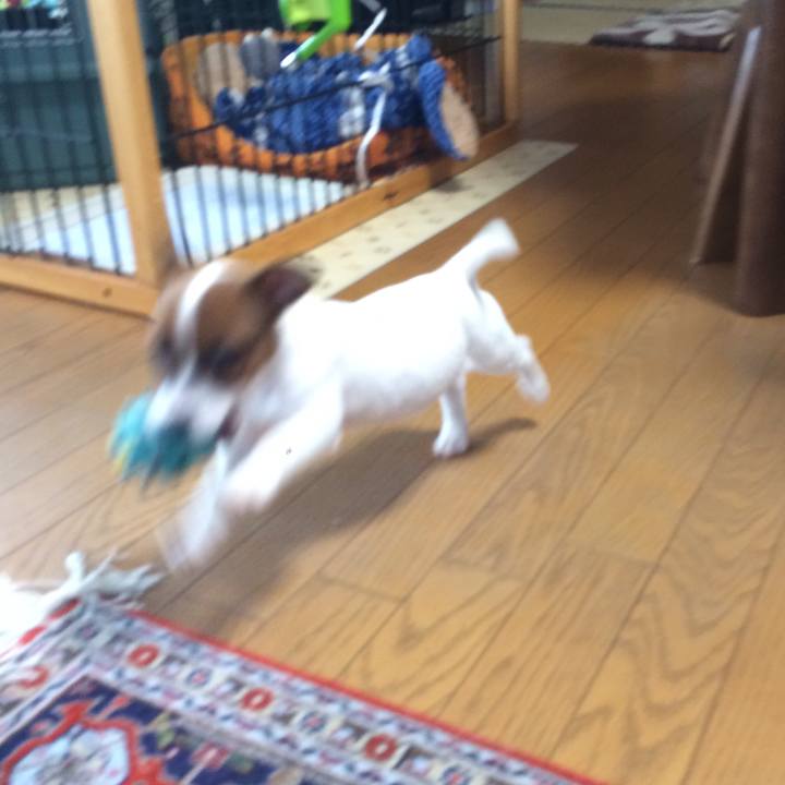 A64a21fc 9853 463f acd1 fa3b73f6a77b 1510623197280