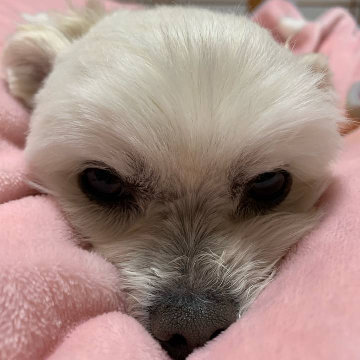 A64a2eb0 50c4 49cc b512 430535c56560 1613559119006