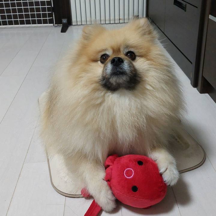 A64abbd6 6b10 44df 9656 d5859942d003 1752907040545