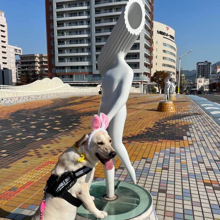 A64aced0 19f3 4a92 908c c875caa01cfa 1637299409396