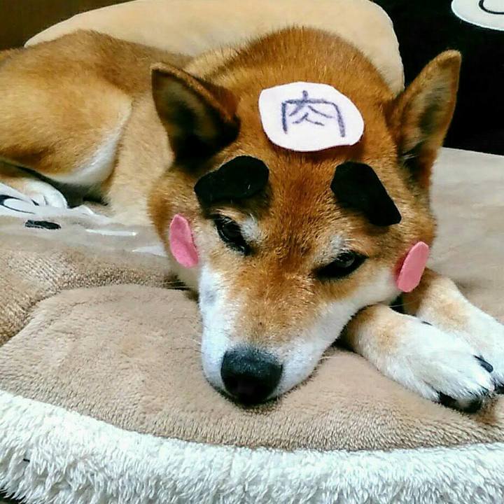 A64ae4e8 355e 4320 9785 a5171698af35 1567062511779