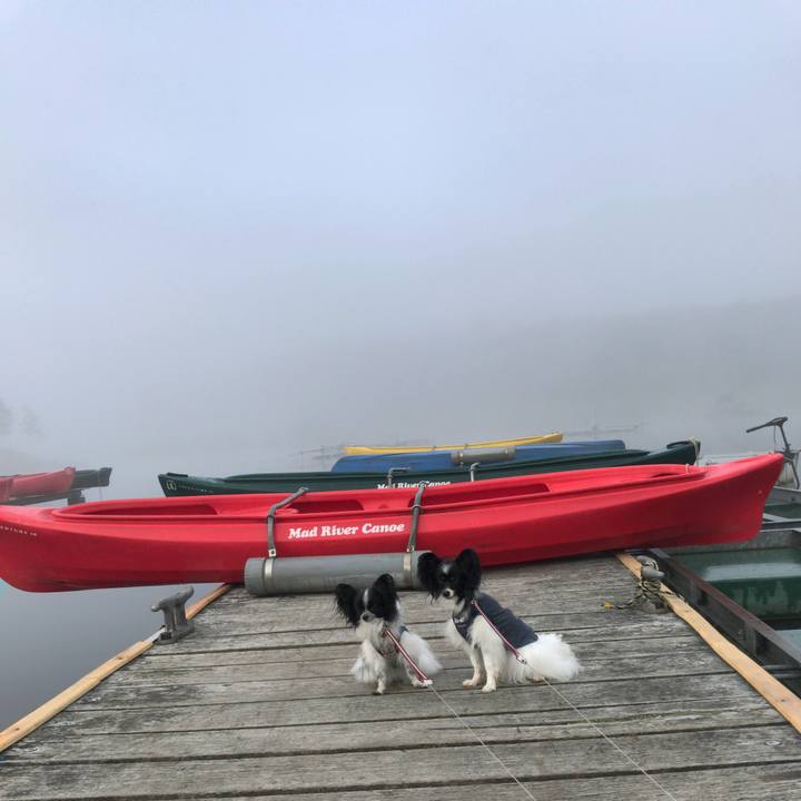 A64aea9b ae4b 4f40 bb97 dcbc8069ca79 1534719394305