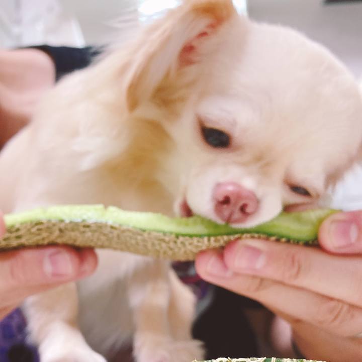 A64b3586 2a40 4604 977b e6f8ccd45057 1626087584719