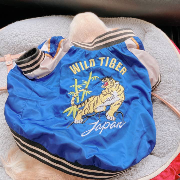 A64b4343 4f84 4e39 9308 8ce67e845022 1672924722162