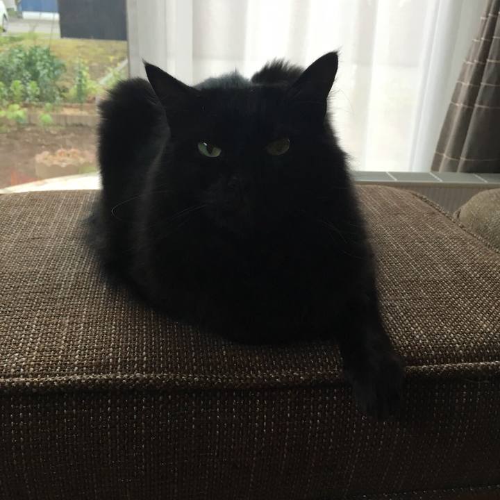 A64b473f b40d 432d abcd 344131ae8ed2 1531403317810