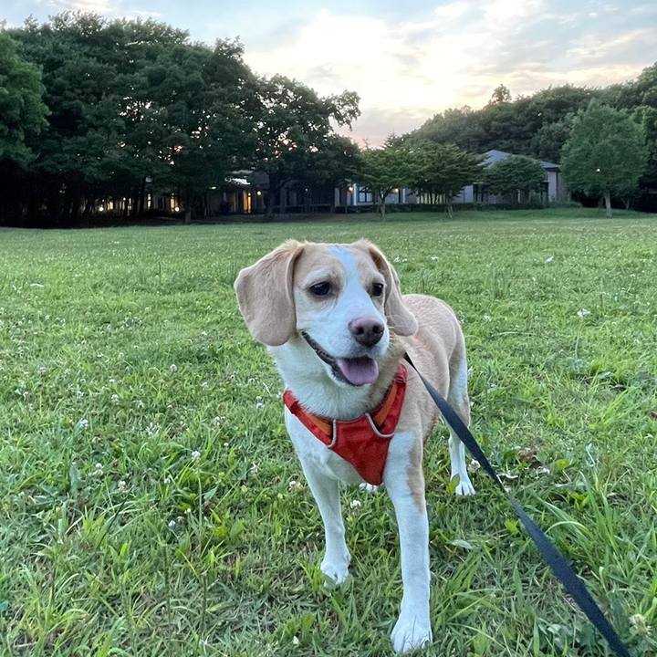 A64b59e8 3d81 4749 9ae8 86fdbf0b5f4a 1656417829885