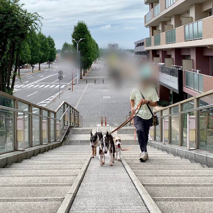 A64b917e 4a72 47a4 b9f7 85a5de263f5b 1600772458139